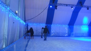 ice skating!